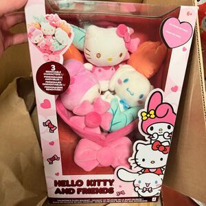 NEW Hello Kitty And Friends Plush Flower Bouquet Valentine’s Day